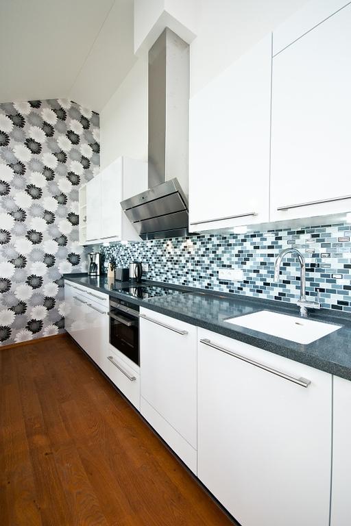 Apartment Starkova
